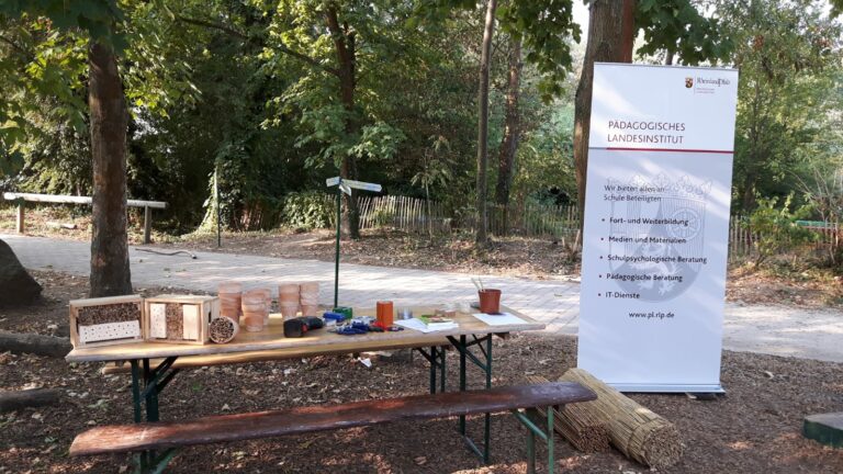 schulgarten material 1 768x432