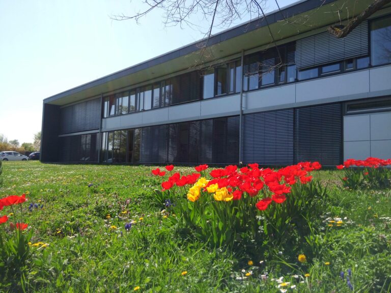 zgv im fruehing 768x576